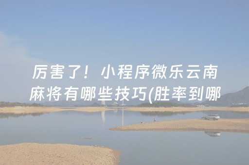 厉害了！小程序微乐云南麻将有哪些技巧(胜率到哪调)