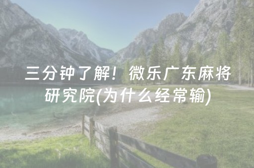 三分钟了解！微乐广东麻将研究院(为什么经常输)