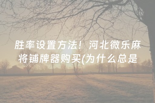 胜率设置方法！河北微乐麻将铺牌器购买(为什么总是输)