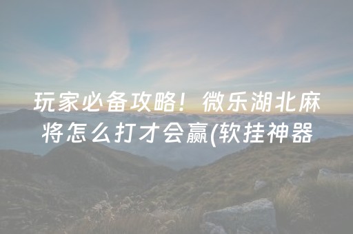 玩家必备攻略！微乐湖北麻将怎么打才会赢(软挂神器)