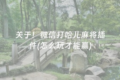 关于！微信打哈儿麻将插件(怎么玩才能赢)