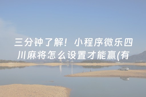 三分钟了解！小程序微乐四川麻将怎么设置才能赢(有没有技巧)
