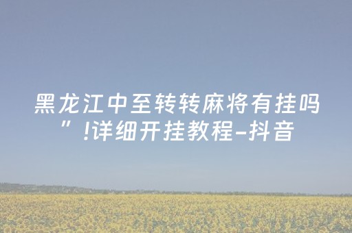 教程辅助“手机金花透牌器（专用辅牌神器免安装）