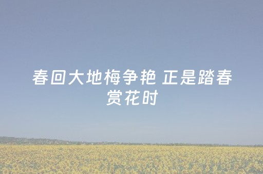 教程辅助“微信微乐麻将挂件神器（助赢神器通用版）