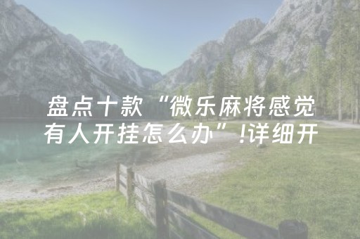盘点十款“微乐麻将感觉有人开挂怎么办”!详细开挂教程-抖音