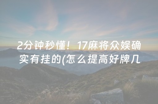 实测辅助“微乐小程序插件（助赢神器通用版）