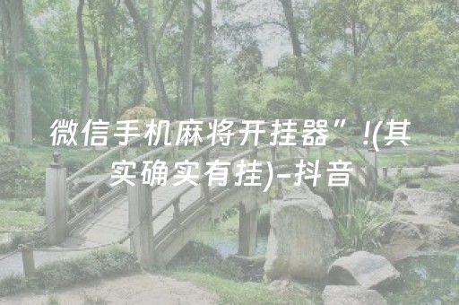 微信手机麻将开挂器”!(其实确实有挂)-抖音