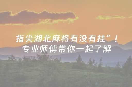 指尖湖北麻将有没有挂”!专业师傅带你一起了解（详细教程）-抖音