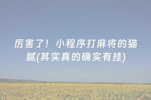 厉害了！小程序打麻将的猫腻(其实真的确实有挂)