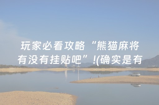 必看教程！“闲来十三水外挂可靠吗”（详细开挂教程）-哔哩哔哩