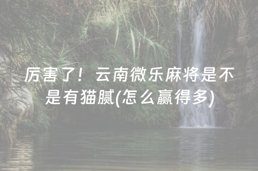 厉害了！云南微乐麻将是不是有猫腻(怎么赢得多)