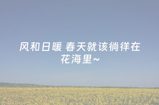 胜率设置方法“多乐跑胡子免费辅助器（专用辅牌神器免安装）