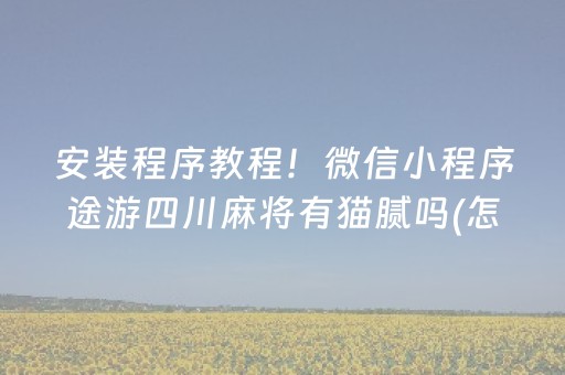 安装程序教程！微信小程序途游四川麻将有猫腻吗(怎么总输有什么猫腻)
