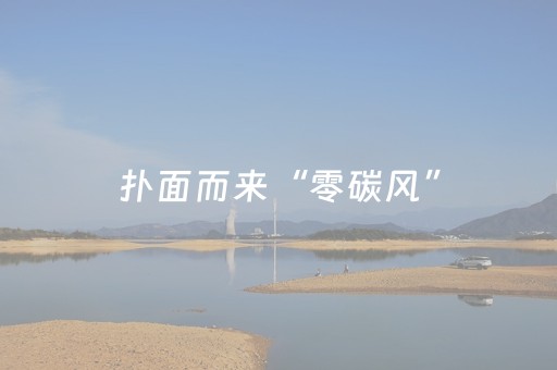 扑面而来“零碳风”