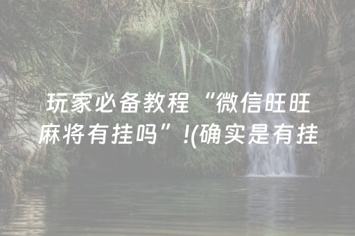 玩家必备教程“微信旺旺麻将有挂吗”!(确实是有挂)-抖音