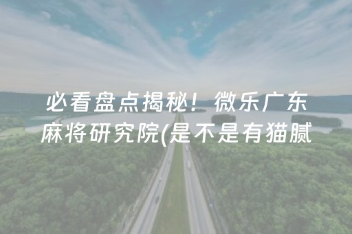 必看盘点揭秘！微乐广东麻将研究院(是不是有猫腻)