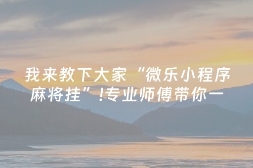 实测分析“手机十三水胜率辅助器”（详细透视教程）-哔哩哔哩