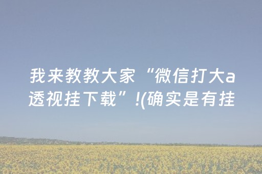 我来教教大家“微信打大a透视挂下载”!(确实是有挂)-抖音