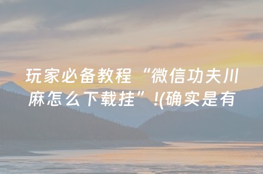 玩家必备教程“微信功夫川麻怎么下载挂”!(确实是有挂)-抖音