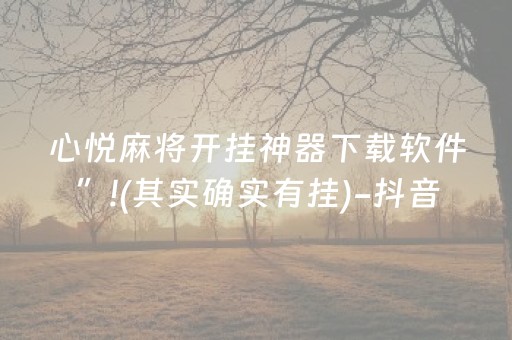 实测分享“麻将机装程序怎么查出来”（详细透视教程）-哔哩哔哩