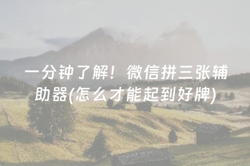 玩家必看教程！“微信拼三张辅助器”（详细开挂教程）-哔哩哔哩