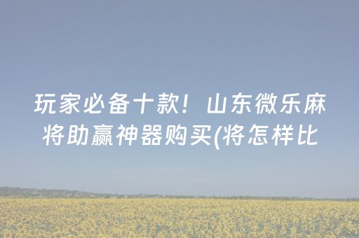玩家必备十款！山东微乐麻将助赢神器购买(将怎样比较容易赢)