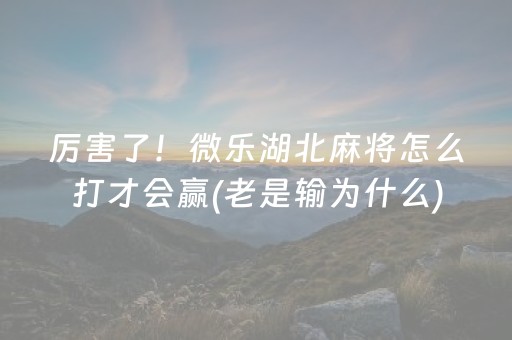 玩家必备教程“中至打牌外挂怎么开（专用辅牌神器免安装）