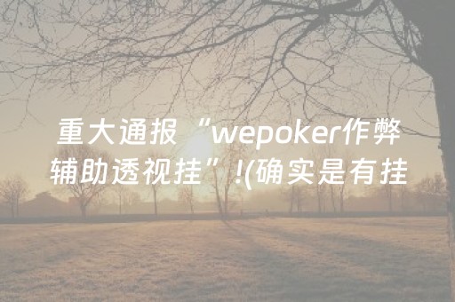 重大通报“wepoker作弊辅助透视挂”!(确实是有挂)-抖音