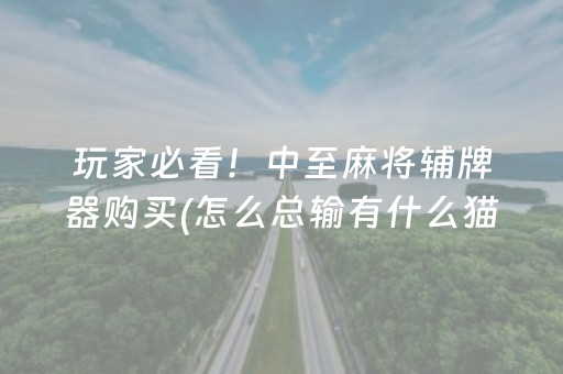 玩家必看！中至麻将辅牌器购买(怎么总输有什么猫腻)