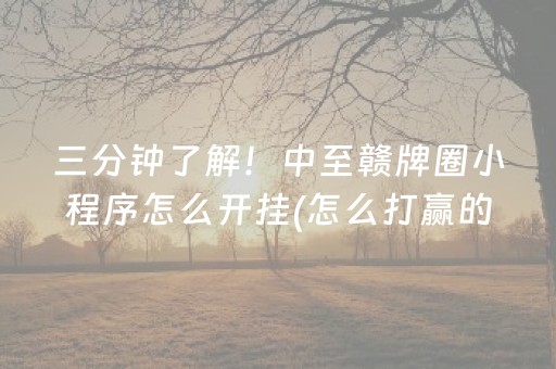 三分钟了解！中至赣牌圈小程序怎么开挂(怎么打赢的几率大)