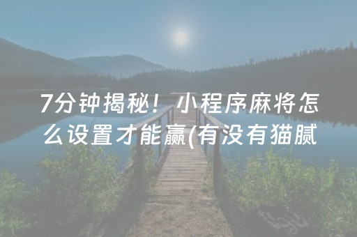 7分钟揭秘！小程序麻将怎么设置才能赢(有没有猫腻)