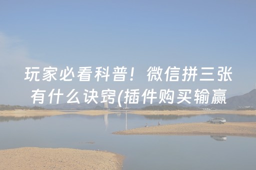 新版本“微乐斗地主透视神器”（详细透视教程）-哔哩哔哩