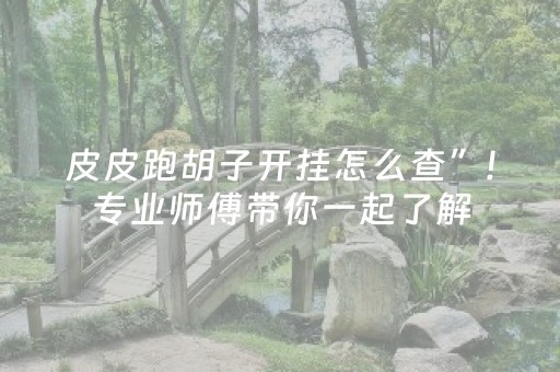 皮皮跑胡子开挂怎么查”!专业师傅带你一起了解（详细教程）-抖音