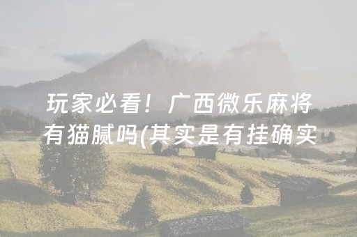 玩家必看！广西微乐麻将有猫腻吗(其实是有挂确实有挂)