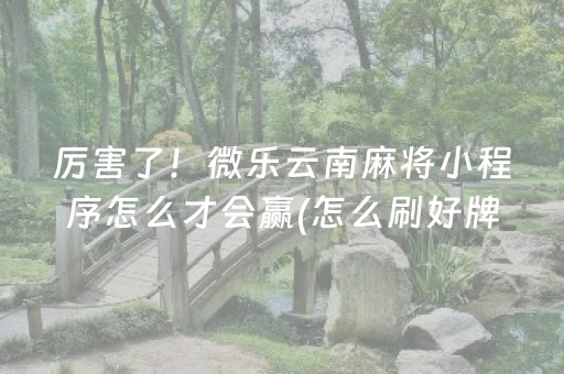 厉害了！微乐云南麻将小程序怎么才会赢(怎么刷好牌)