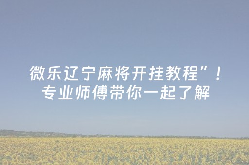 微乐辽宁麻将开挂教程”!专业师傅带你一起了解（详细教程）-抖音