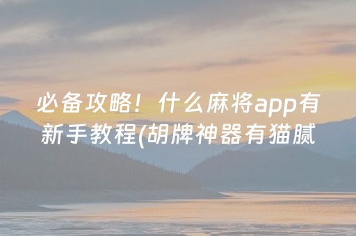 必备攻略！什么麻将app有新手教程(胡牌神器有猫腻吗)
