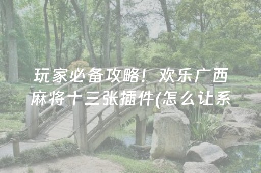 玩家必备攻略！欢乐广西麻将十三张插件(怎么让系统给你发好牌)