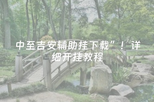 中至吉安辅助挂下载”！详细开挂教程（确实真的有挂)-抖音