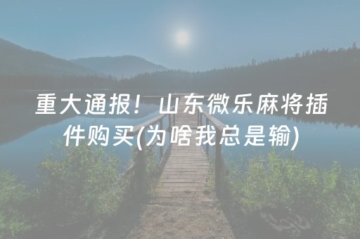 重大通报！山东微乐麻将插件购买(为啥我总是输)
