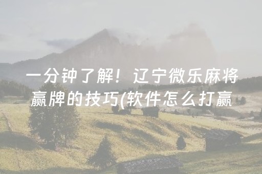 一分钟了解！辽宁微乐麻将赢牌的技巧(软件怎么打赢)