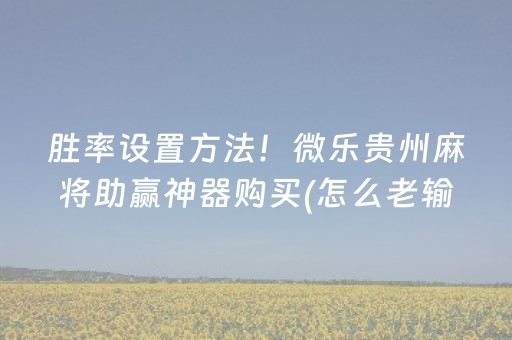 胜率设置方法！微乐贵州麻将助赢神器购买(怎么老输必备神器)