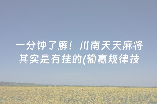 实测分享“一个手机一个解码器麻将”（详细透视教程）-哔哩哔哩