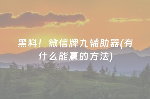 黑料！微信牌九辅助器(有什么能赢的方法)