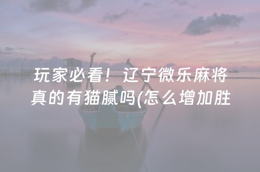 终于发现了“麻将机程序检测器（助赢神器通用版）