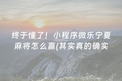 玩家实测“微乐四川麻将专用神器（专用辅牌神器免安装）