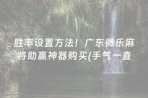 终于发现“雀神广东麻雀提高胜率技巧（专用辅牌神器免安装）
