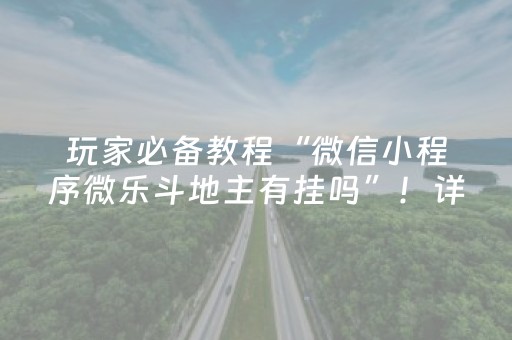 玩家必备教程“微信小程序微乐斗地主有挂吗”！详细开挂教程（确实真的有挂)-抖音