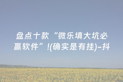 盘点十款“微乐填大坑必赢软件”!(确实是有挂)-抖音