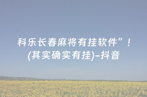 教程辅助“决胜麻将挂先试用后付款（专用辅牌神器免安装）